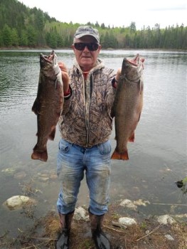 Trophy Brook Trout